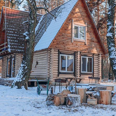 Log Hause Savin Βίλα Εξωτερικό φωτογραφία