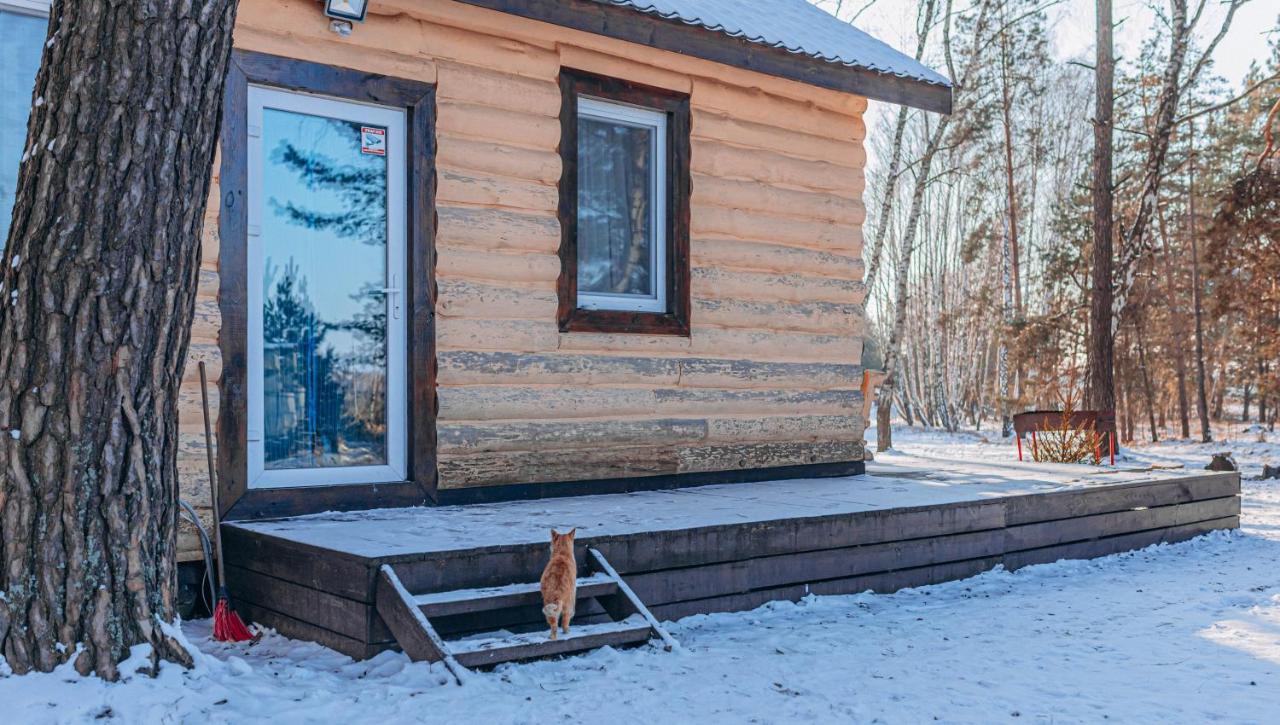 Log Hause Savin Βίλα Εξωτερικό φωτογραφία